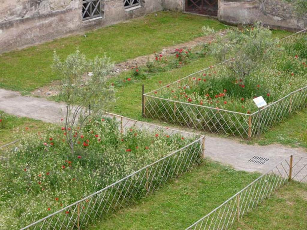 Oplontis, May 2010. Looking south-east across north garden towards the trellised areas, the pathway (left to right) leads towards the exedra room 69 in the east. Photo courtesy of Buzz Ferebee. 
