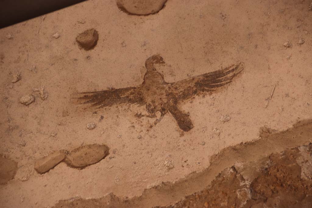 Oplontis Villa of Poppea, October 2020. 
Room 4, detail of painted bird from upper west wall, left of centre. Photo courtesy of Klaus Heese.

