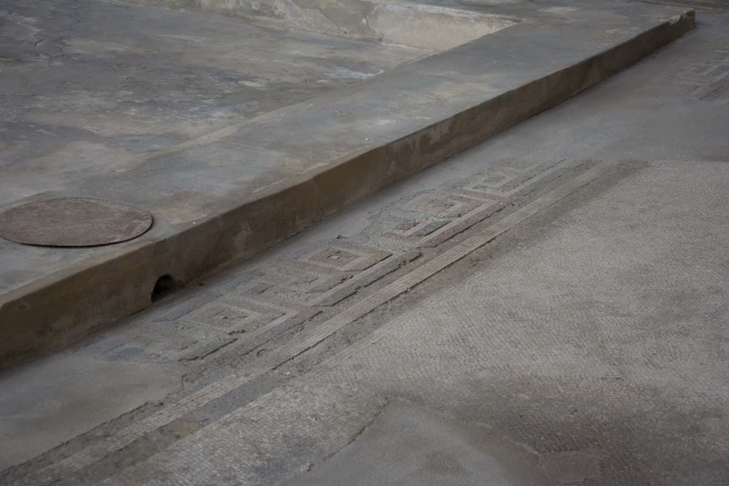 Oplontis Villa of Poppea, March 2019. Room 5, mosaic flooring in atrium near the edge of the impluvium.
Foto Annette Haug, ERC Grant 681269 DÉCOR.


