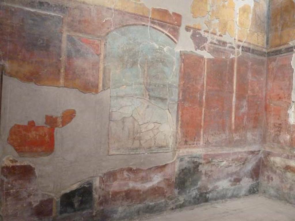 Oplontis, September 2015. Room 8, north wall.