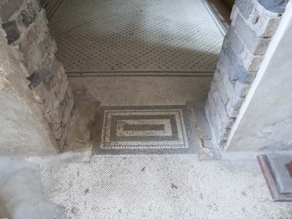 Oplontis Villa of Poppea, September 2017. 
Doorway from room 15 with mosaic threshold, into room 14, the triclinium. Looking east.
Foto Annette Haug, ERC Grant 681269 DÉCOR.

