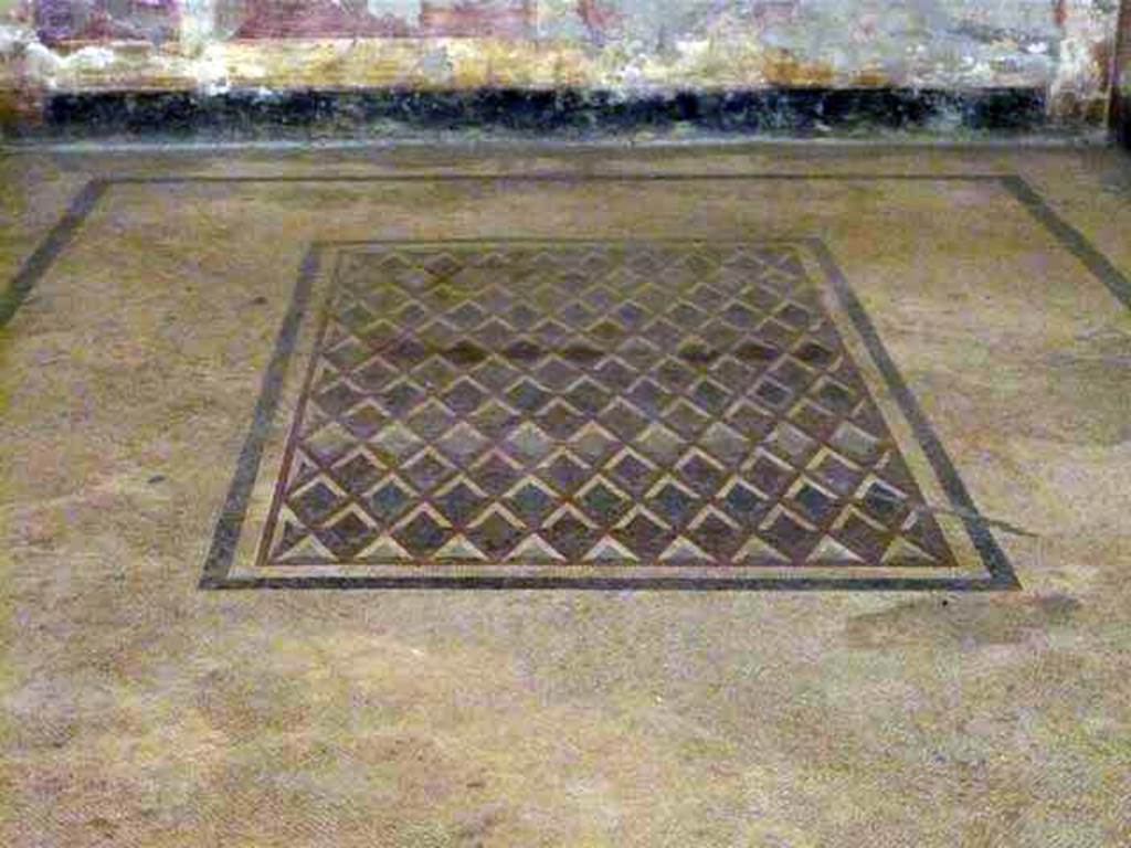 Oplontis, May 2011. Room 14, mosaic floor in triclinium, looking north. Photo courtesy of Buzz Ferebee. 
