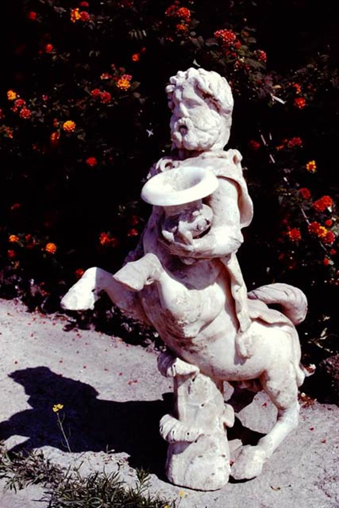 Oplontis, 1978. One of a group of four centaurs, a male holding a club and a crater. 
Two centaur fountains would have been seen on each side of the central passageway in the north garden. There was no evidence of pipes, so they had not been used as fountains in their final location. Photo by Stanley A. Jashemski.   
Source: The Wilhelmina and Stanley A. Jashemski archive in the University of Maryland Library, Special Collections (See collection page) and made available under the Creative Commons Attribution-Non Commercial License v.4. See Licence and use details. J78f0473
