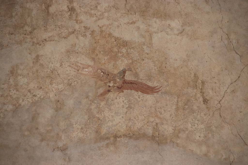 Oplontis Villa of Poppea, September 2021. Portico 40, east wall, painted wall decoration of bird. Photo courtesy of Klaus Heese.