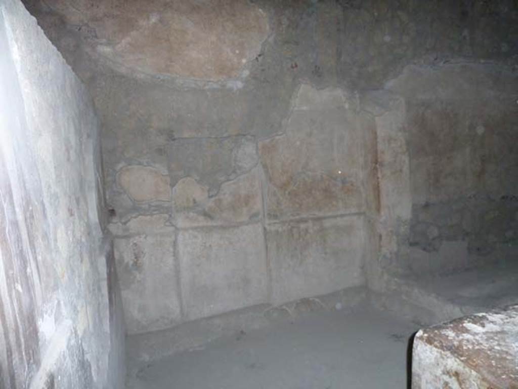 Oplontis, September 2015. Room 48, west wall.