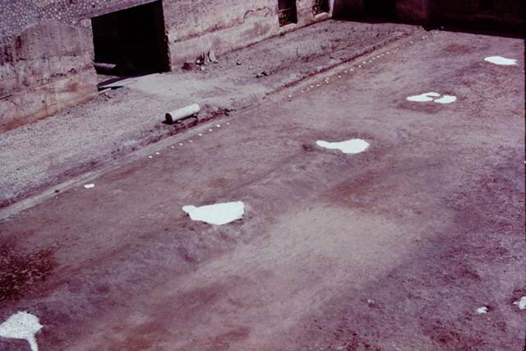 Oplontis Villa of Poppea, 1977. Looking south-east across large tree root-cavities in the north garden 56, and pathway leading to Exedra 69. 
Photo by Stanley A. Jashemski.   
Source: The Wilhelmina and Stanley A. Jashemski archive in the University of Maryland Library, Special Collections (See collection page) and made available under the Creative Commons Attribution-Non Commercial License v.4. See Licence and use details.
J77f0304
