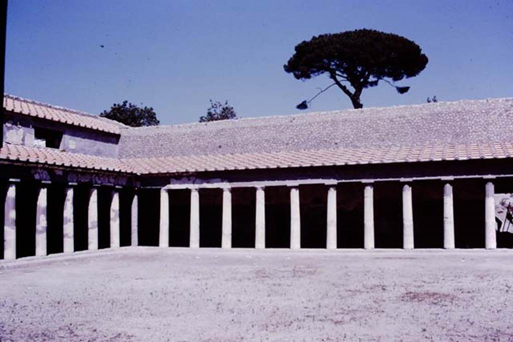 Oplontis, 1977. Area 59, the south-east peristyle, looking towards north-east corner and east wall. Photo by Stanley A. Jashemski.   
Source: The Wilhelmina and Stanley A. Jashemski archive in the University of Maryland Library, Special Collections (See collection page) and made available under the Creative Commons Attribution-Non Commercial License v.4. See Licence and use details. J77f0362
