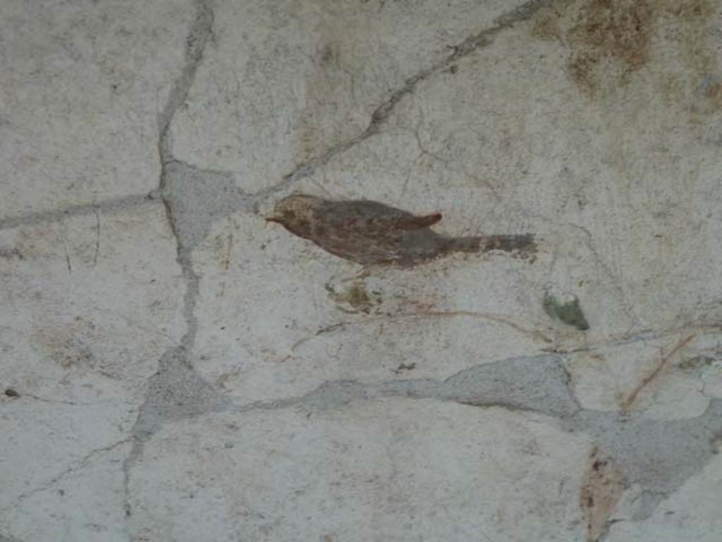 Oplontis, September 2015. Portico 60, detail of bird on painted wall between room 88 and room 90 at lower south end.