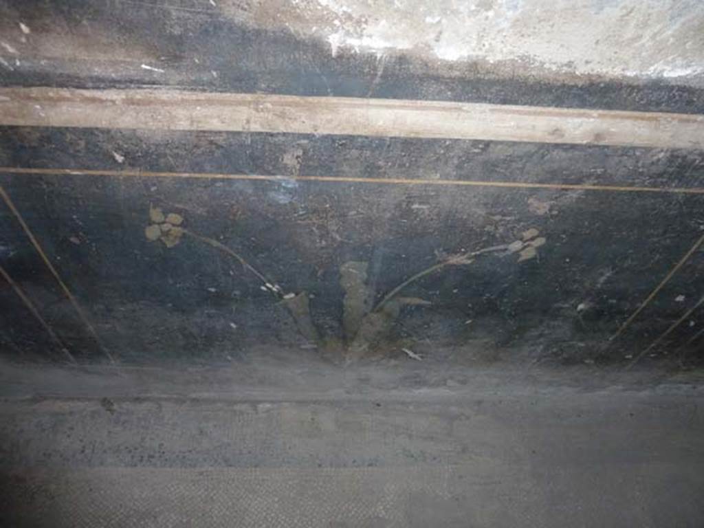 Oplontis, September 2015. Corridor 77, black zoccolo on east wall. 