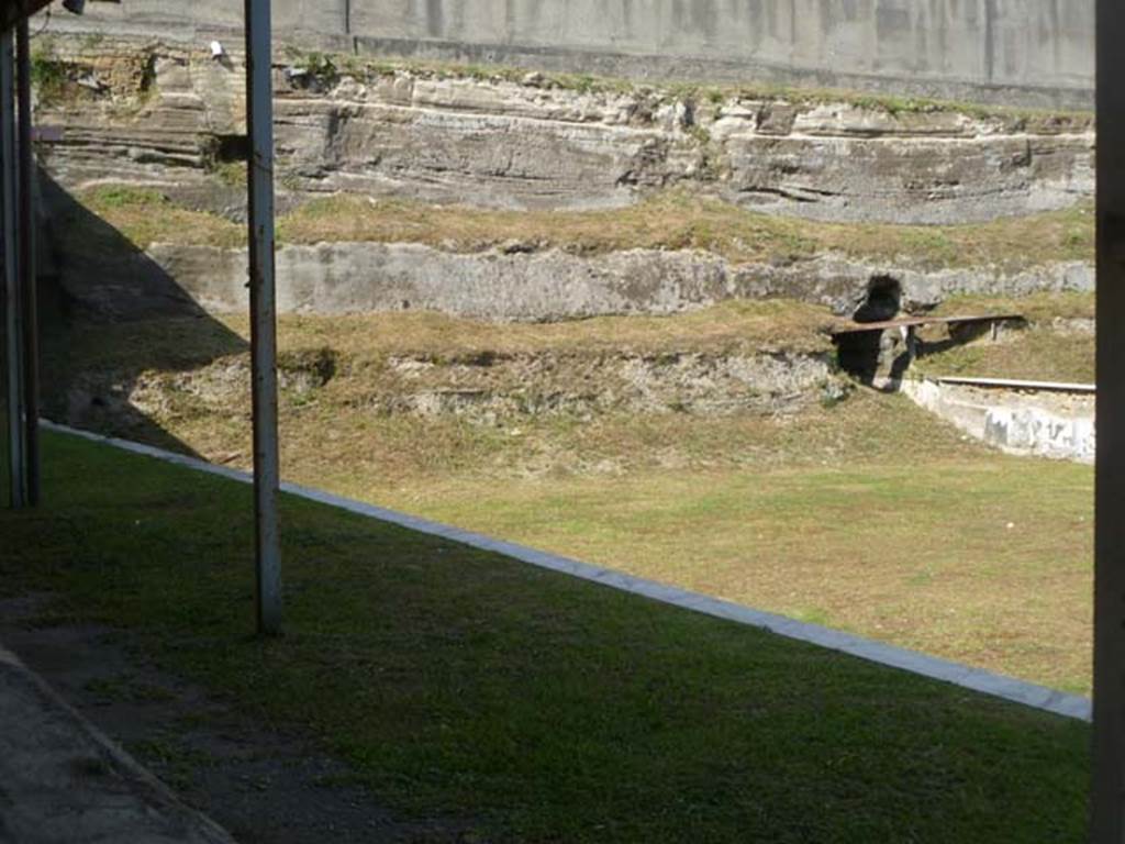 Oplontis, May 2011. Looking north towards unexcavated from west side of swimming pool. Photo courtesy of Michael Binns.
