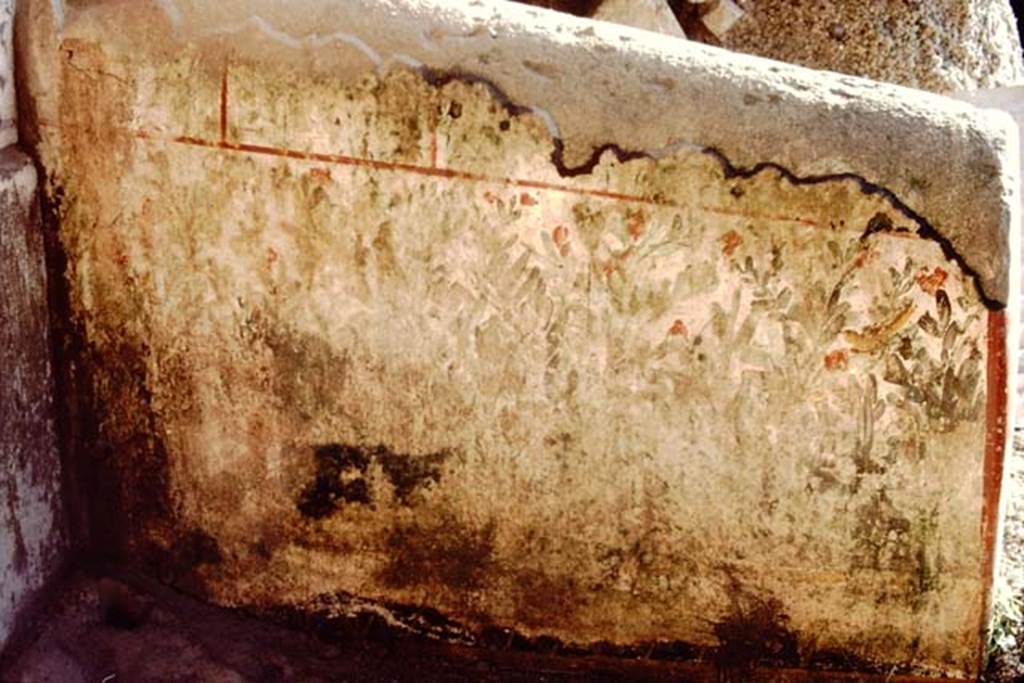 Oplontis, 1983 or 1984.  The painting of a poorly preserved thicket continuing along the low projection perpendicular to the wall. 
Source: The Wilhelmina and Stanley A. Jashemski archive in the University of Maryland Library, Special Collections (See collection page) and made available under the Creative Commons Attribution-Non Commercial License v.4. See Licence and use details. Oplo0074

