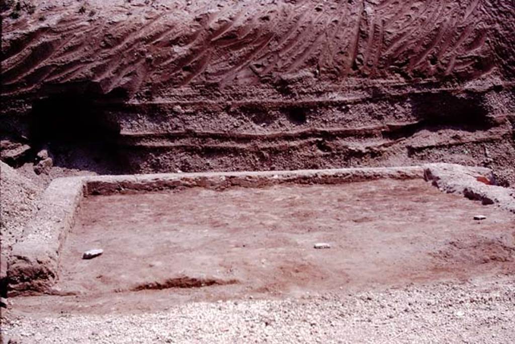 Oplontis, 1974. Room 58, looking east.  According to Wilhelmina, at the same time as excavating the tree-trunk and root, they were also examining a small area directly to the east of the portico (room 58), where a small garden had been created by filling the foundations of a room with soil. There were 8 root cavities planted in three rows in this garden.  Photo by Stanley A. Jashemski.   
Source: The Wilhelmina and Stanley A. Jashemski archive in the University of Maryland Library, Special Collections (See collection page) and made available under the Creative Commons Attribution-Non Commercial License v.4. See Licence and use details. J74f0635
