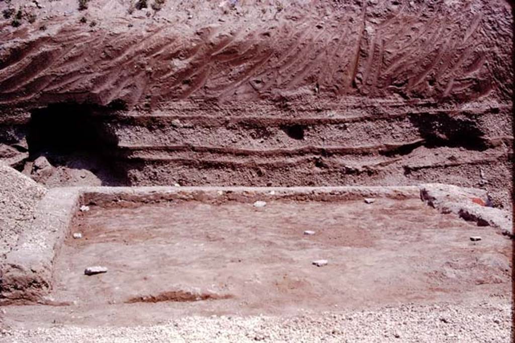 Oplontis, 1974. Room 58, looking east, with the 8 root-cavities found, protected by a stone. Photo by Stanley A. Jashemski.   
Source: The Wilhelmina and Stanley A. Jashemski archive in the University of Maryland Library, Special Collections (See collection page) and made available under the Creative Commons Attribution-Non Commercial License v.4. See Licence and use details. J74f0639
