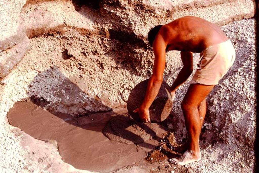 Pompeii. 1974. Filling the root cavity with cement. Photo by Stanley A. Jashemski.   
Source: The Wilhelmina and Stanley A. Jashemski archive in the University of Maryland Library, Special Collections (See collection page) and made available under the Creative Commons Attribution-Non Commercial License v.4. See Licence and use details. J74f0672
