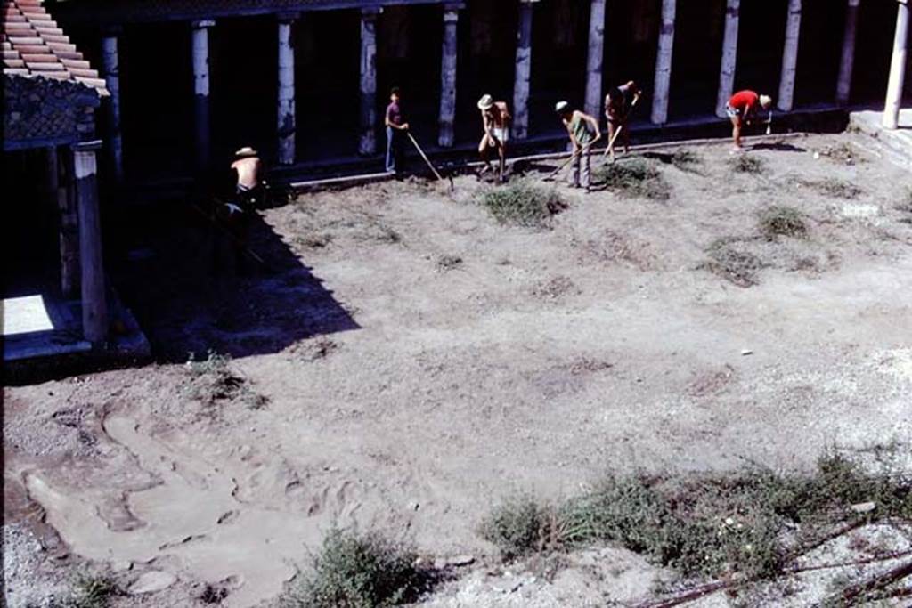 Oplontis, 1975. Looking south to excavation near room 34, the east portico of the north garden. On the left the large strange root from the previous years dig, can now be seen completely filled with cement.  Photo by Stanley A. Jashemski.   
Source: The Wilhelmina and Stanley A. Jashemski archive in the University of Maryland Library, Special Collections (See collection page) and made available under the Creative Commons Attribution-Non Commercial License v.4. See Licence and use details. J75f0028
