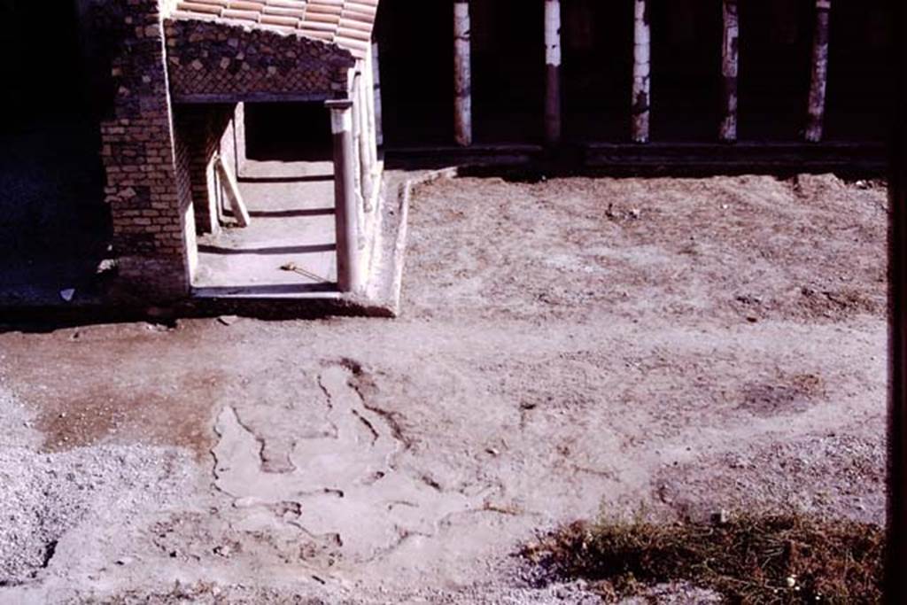 Oplontis, 1975. Looking south to east portico, 34 of north garden, across large strange root-cavity.  On the right the excavated and cleaned outline of the path running east to west across the rear garden can be seen. Photo by Stanley A. Jashemski.   
Source: The Wilhelmina and Stanley A. Jashemski archive in the University of Maryland Library, Special Collections (See collection page) and made available under the Creative Commons Attribution-Non Commercial License v.4. See Licence and use details. J75f0063
