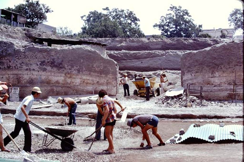 Oplontis, 1975. Looking east in north garden, near to the doorway to room 69, with a large root cavity under the corrugated sheet, on the right. Photo by Stanley A. Jashemski.   
Source: The Wilhelmina and Stanley A. Jashemski archive in the University of Maryland Library, Special Collections (See collection page) and made available under the Creative Commons Attribution-Non Commercial License v.4. See Licence and use details. J75f0155
