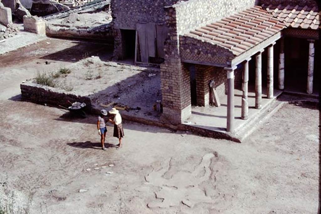 Oplontis, 1975. Looking towards area of room 58, and east portico 34, across the large strange root cavity filled in the previous year. Photo by Stanley A. Jashemski.   
Source: The Wilhelmina and Stanley A. Jashemski archive in the University of Maryland Library, Special Collections (See collection page) and made available under the Creative Commons Attribution-Non Commercial License v.4. See Licence and use details. J75f0177
