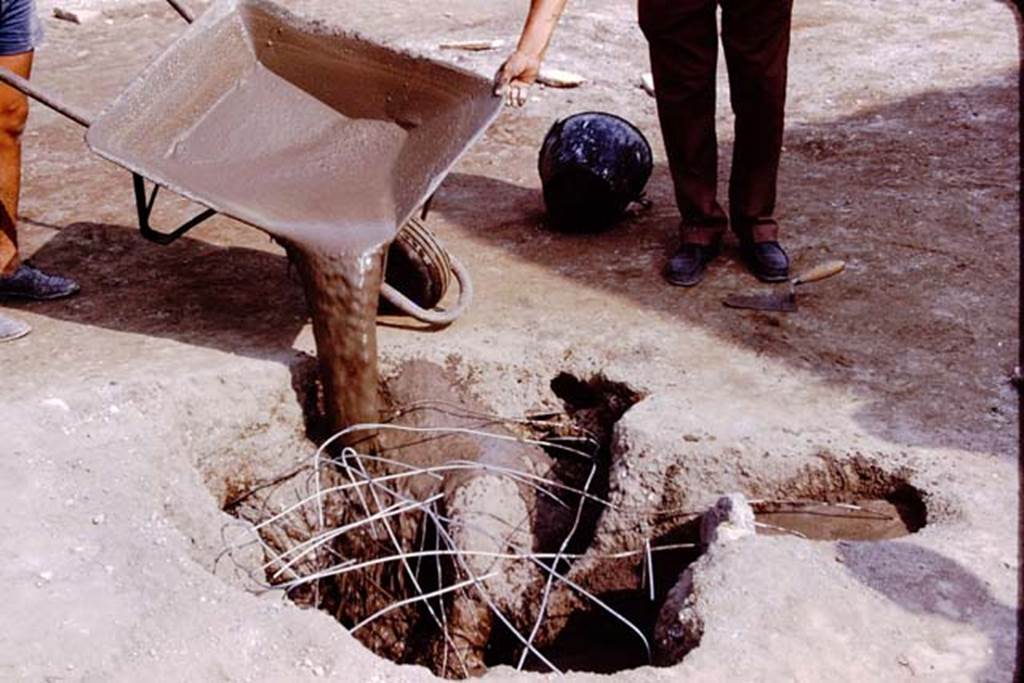 Oplontis, 1975. Filling the large tree-root cavities. Photo by Stanley A. Jashemski.   
Source: The Wilhelmina and Stanley A. Jashemski archive in the University of Maryland Library, Special Collections (See collection page) and made available under the Creative Commons Attribution-Non Commercial License v.4. See Licence and use details. J75f0277
