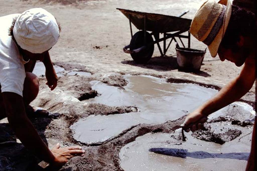 Oplontis, 1975. Smoothing the cement of the tree-root cavity. Photo by Stanley A. Jashemski.   
Source: The Wilhelmina and Stanley A. Jashemski archive in the University of Maryland Library, Special Collections (See collection page) and made available under the Creative Commons Attribution-Non Commercial License v.4. See Licence and use details. J75f0324

