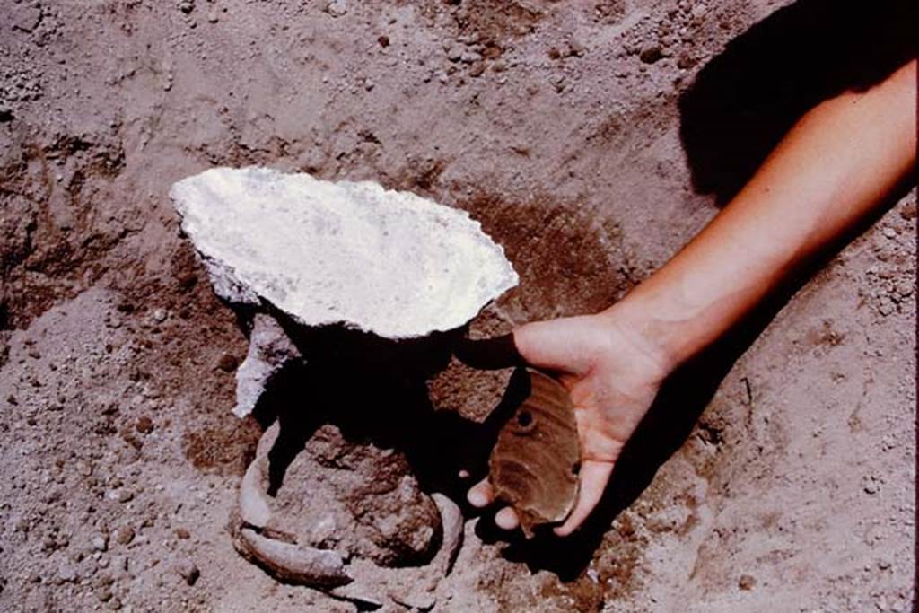 Oplontis, 1975. Piece of buried terracotta pot, showing two of the original drainage holes. Photo by Stanley A. Jashemski.   
Source: The Wilhelmina and Stanley A. Jashemski archive in the University of Maryland Library, Special Collections (See collection page) and made available under the Creative Commons Attribution-Non Commercial License v.4. See Licence and use details. J75f0494
