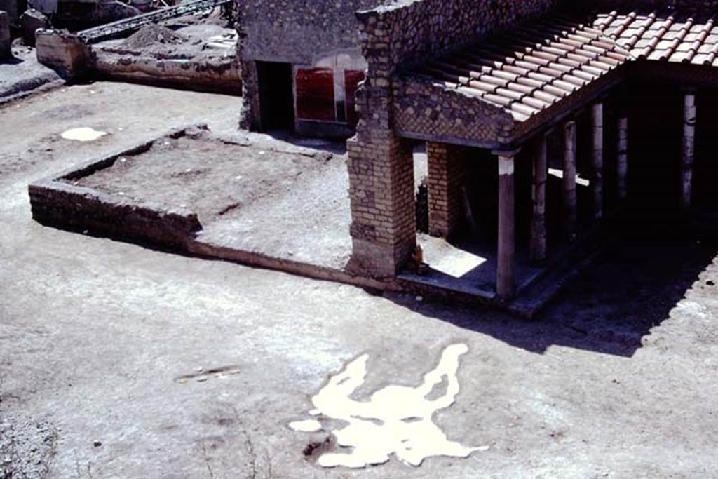 Oplontis, 1975. Looking south-east across east end of north garden towards area of room 58, and painted plaster on exterior wall of room 55, and with large strange root cutting from previous year. Photo by Stanley A. Jashemski.   
Source: The Wilhelmina and Stanley A. Jashemski archive in the University of Maryland Library, Special Collections (See collection page) and made available under the Creative Commons Attribution-Non Commercial License v.4. See Licence and use details. J75f0403
