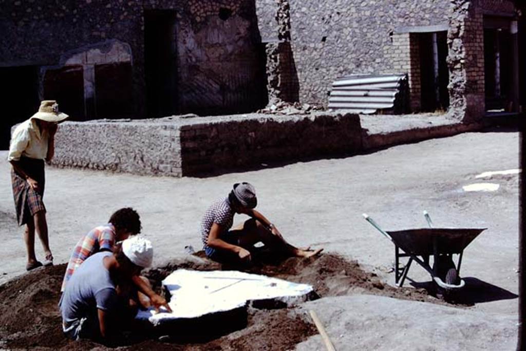 Oplontis, 1975. Digging the soil out from around the filled root cavities. Photo by Stanley A. Jashemski.   
Source: The Wilhelmina and Stanley A. Jashemski archive in the University of Maryland Library, Special Collections (See collection page) and made available under the Creative Commons Attribution-Non Commercial License v.4. See Licence and use details. J75f0412
