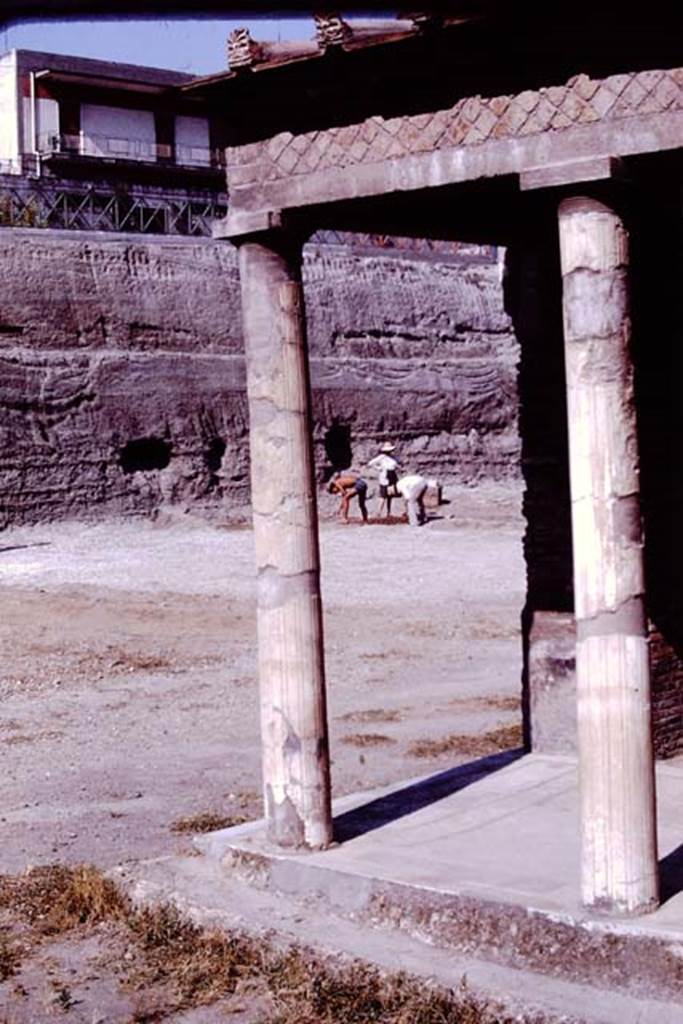 Oplontis, 1977. Looking from east portico, 34, towards north-east across rear garden. 
Photo by Stanley A. Jashemski.   
Source: The Wilhelmina and Stanley A. Jashemski archive in the University of Maryland Library, Special Collections (See collection page) and made available under the Creative Commons Attribution-Non Commercial License v.4. See Licence and use details. J77f0205
