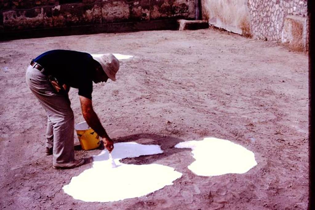 Oplontis, 1977. Filled large tree-root cavity being painted. Photo by Stanley A. Jashemski.   
Source: The Wilhelmina and Stanley A. Jashemski archive in the University of Maryland Library, Special Collections (See collection page) and made available under the Creative Commons Attribution-Non Commercial License v.4. See Licence and use details. J77f0245
