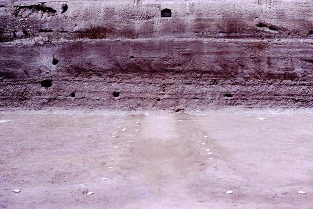 Oplontis, 1977. Looking north along central path, towards unexcavated north garden.  (The large branch of the tree, that Wilhelmina mentions below, was found in the cavity on the left, which seems to be surrounded by white lapilli).
Photo by Stanley A. Jashemski.   
Source: The Wilhelmina and Stanley A. Jashemski archive in the University of Maryland Library, Special Collections (See collection page) and made available under the Creative Commons Attribution-Non Commercial License v.4. See Licence and use details. J77f0357
According to Wilhelmina, Large quantities of what appeared to be partially carbonized tree-roots were found in several cavities, and what appeared to be parts of the trunk were found in the lapilli above ground. Most spectacular was the large branch (180cm long) of a tree found in the volcanic ash, at a height of about 250cms (8 ft) at the northern end of the excavations. The cavities left by the spreading branches of this huge tree, which grew in the yet unexcavated part of the garden, can be seen in the cut in the volcanic fill.
See Jashemski, W. F., 1979. The Gardens of Pompeii. New York: Caratzas, (p.300)
