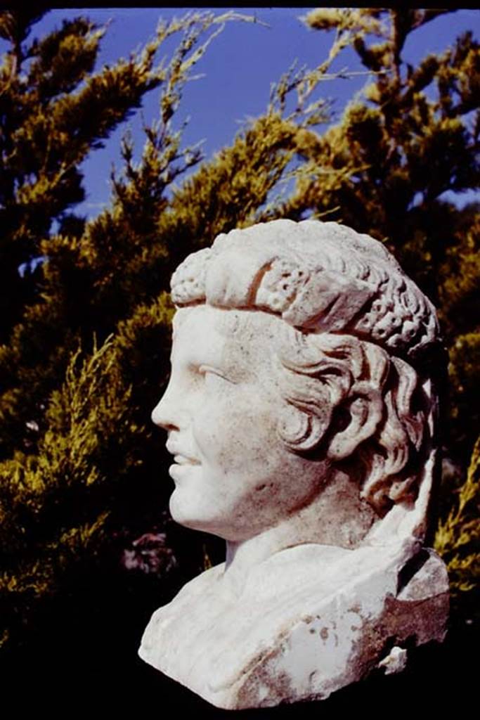 Oplontis, 1978. Marble head of a young boy, found along the passageway. Photo by Stanley A. Jashemski.   
Source: The Wilhelmina and Stanley A. Jashemski archive in the University of Maryland Library, Special Collections (See collection page) and made available under the Creative Commons Attribution-Non Commercial License v.4. See Licence and use details. J78f0463

 
