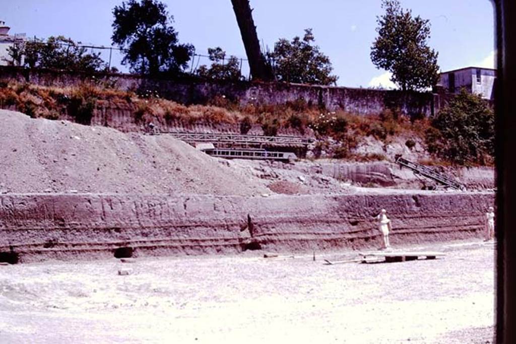 Oplontis, 1978. Looking east into unexcavated. Photo by Stanley A. Jashemski.   
Source: The Wilhelmina and Stanley A. Jashemski archive in the University of Maryland Library, Special Collections (See collection page) and made available under the Creative Commons Attribution-Non Commercial License v.4. See Licence and use details. J78f0082
