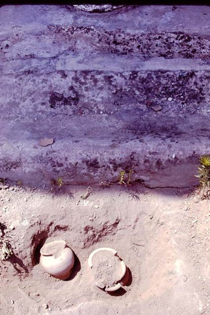 Oplontis, 1978. Two buried pots. Photo by Stanley A. Jashemski.   
Source: The Wilhelmina and Stanley A. Jashemski archive in the University of Maryland Library, Special Collections (See collection page) and made available under the Creative Commons Attribution-Non Commercial License v.4. See Licence and use details. J78f0658
