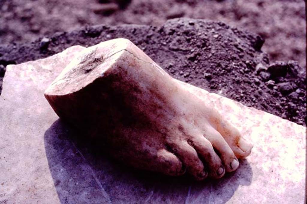 Oplontis Villa of Poppea, July 1983. Detail of statue foot. 
Source: The Wilhelmina and Stanley A. Jashemski archive in the University of Maryland Library, Special Collections (See collection page) and made available under the Creative Commons Attribution-Non Commercial License v.4. See Licence and use details. Oplo0227
