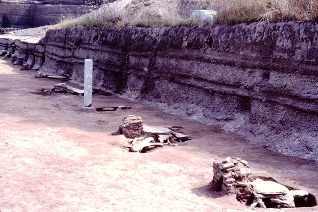 Oplontis, c.1983 or 1984. Statue bases and their root-cavities, from 1-10. Looking north.
Source: The Wilhelmina and Stanley A. Jashemski archive in the University of Maryland Library, Special Collections (See collection page) and made available under the Creative Commons Attribution-Non Commercial License v.4. See Licence and use details. Oplo0205
