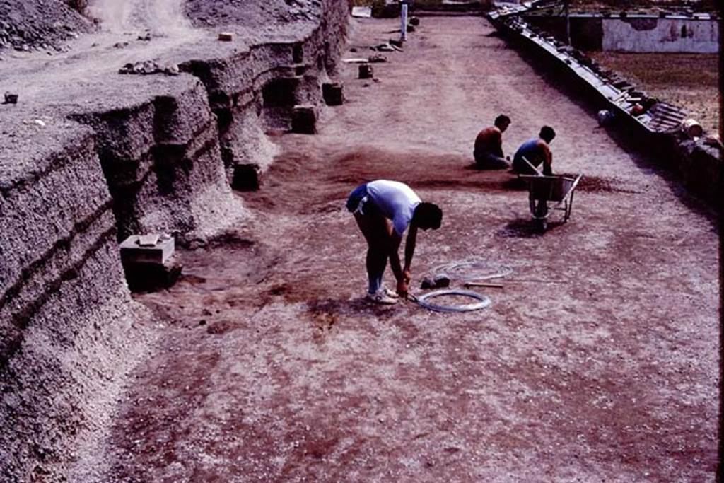 Oplontis, c.1983. Looking south from near statue base X. The wire being cut is to reinforce the plaster in the root cavities.
Source: The Wilhelmina and Stanley A. Jashemski archive in the University of Maryland Library, Special Collections (See collection page) and made available under the Creative Commons Attribution-Non Commercial License v.4. See Licence and use details. Oplo0124
