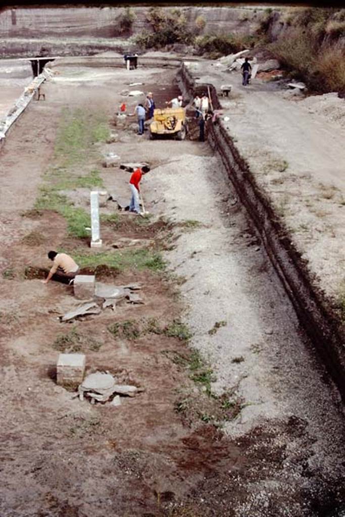 Oplontis, c.1983 or 1984. Looking north on east side of swimming pool.
The excavated area has now been extended further east, by another few yards behind the statue-bases and filled root cavities. 
Source: The Wilhelmina and Stanley A. Jashemski archive in the University of Maryland Library, Special Collections (See collection page) and made available under the Creative Commons Attribution-Non Commercial License v.4. See Licence and use details. Oplo0029
