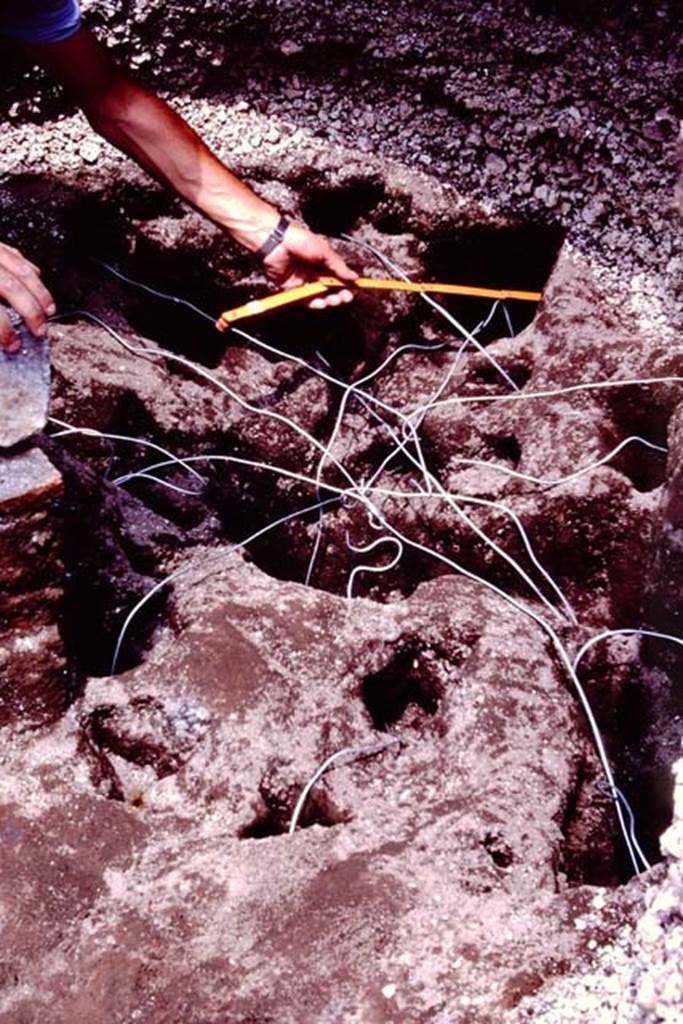 Oplontis, c.1984. Reinforcing the root-cavity with wire. 
Source: The Wilhelmina and Stanley A. Jashemski archive in the University of Maryland Library, Special Collections (See collection page) and made available under the Creative Commons Attribution-Non Commercial License v.4. See Licence and use details. Oplo0149
