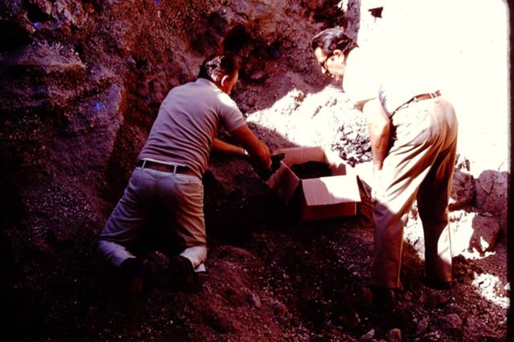 Oplontis, Villa of Lucius Crassius Tertius. 1978. Excavating burnt material. 
Photo by Stanley A. Jashemski.   
Source: The Wilhelmina and Stanley A. Jashemski archive in the University of Maryland Library, Special Collections (See collection page) and made available under the Creative Commons Attribution-Non Commercial 
J78f0609
