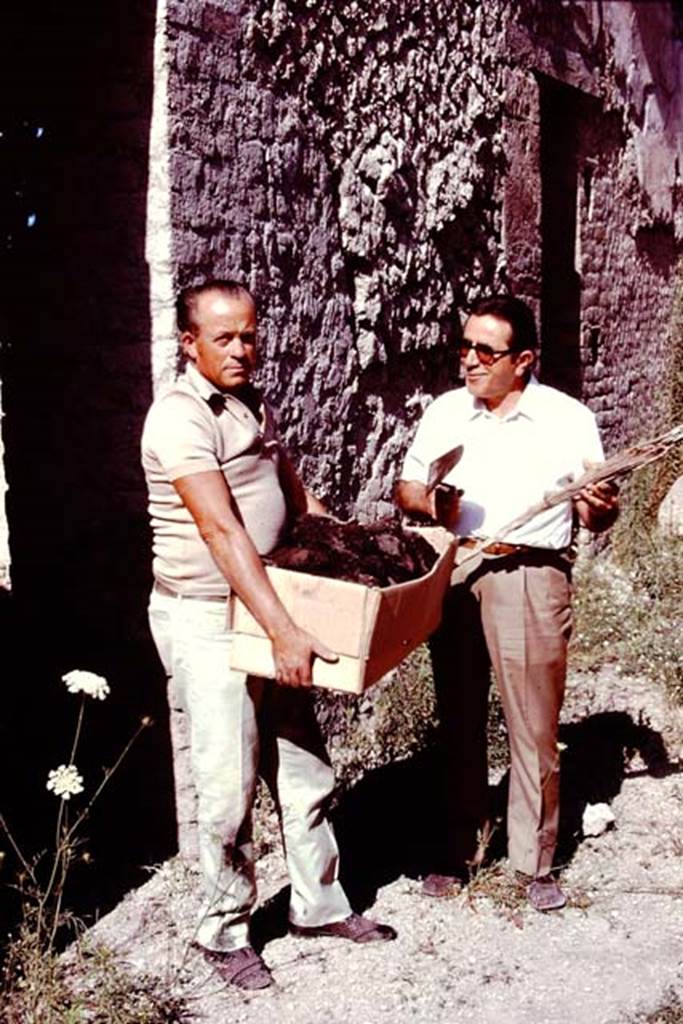 Oplontis, Villa of Lucius Crassius Tertius. 1978. Area 20, south side of peristyle, outside room 12. Holding finds. 
According to the Soprintendenza, lungo i bracci di tale peristilio, completamente ricostruito, ricollocando in loco gli originari rocchi delle colonne e i relativi capitelli, vi  una serie di stanze, molto probabilmente magazzini, almeno a giudicare da quanto in essi rinvenuto (pesi, suppellettili, ceramica da trasporto, paglia carbonizzata, una grande quantit di piccoli e acerbi melograni, utilizzati forse per la concia delle pelli).
Along the arms of the peristyle, completely rebuilt on site by relocating the original columns and their capitals, there is a series of rooms, probably warehouses, at least judging from what was found in them (weights, furnishings, ceramics, charred straw, a large amount of small and unripe pomegranates, perhaps used for tanning leather).
See Villa on the Soprintendenza web site
Photo by Stanley A. Jashemski.   
Source: The Wilhelmina and Stanley A. Jashemski archive in the University of Maryland Library, Special Collections (See collection page) and made available under the Creative Commons Attribution-Non Commercial License v.4. See Licence and use details.
J78f0614
