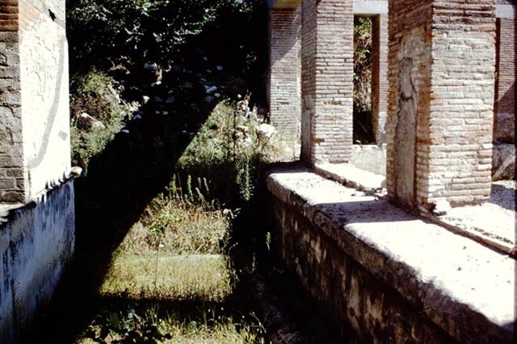 Villa Arianna, 1968, Looking south across sunken garden on east side of windowed exedra, on right.  Photo by Stanley A. Jashemski
Source: The Wilhelmina and Stanley A. Jashemski archive in the University of Maryland Library, Special Collections (See collection page) and made available under the Creative Commons Attribution-Non Commercial License v.4. See Licence and use details. Jmis0094
