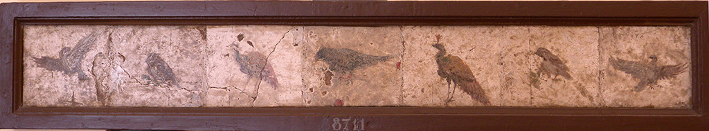 Stabiae, Villa Arianna, found 22nd February 1760. Room 9, paintings of birds and peacocks.
Now in Naples Archaeological Museum. Inventory number 8711.
See Sampaolo V. and Bragantini I., Eds, 2009. La Pittura Pompeiana. Electa: Verona, p. 463.
See Pagano, M. and Prisciandaro, R., 2006. Studio sulle provenienze degli oggetti rinvenuti negli scavi borbonici del regno di Napoli. Naples: Nicola Longobardi, p. 245.
