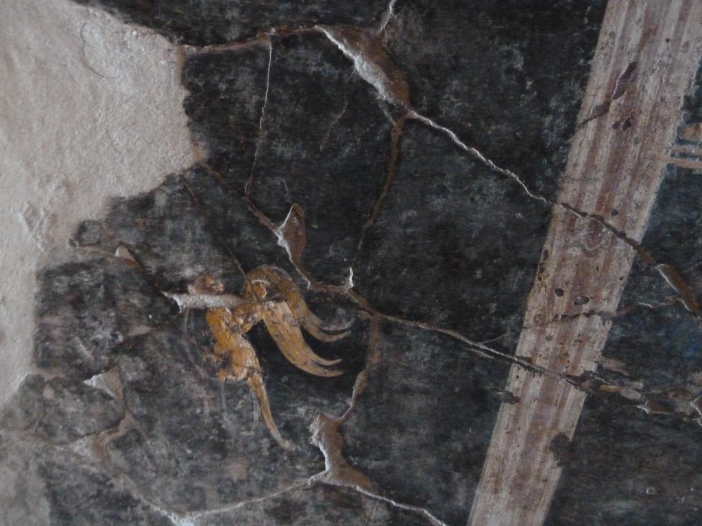 Stabiae, Villa Arianna, September 2015. Corridor 8, painted decoration.