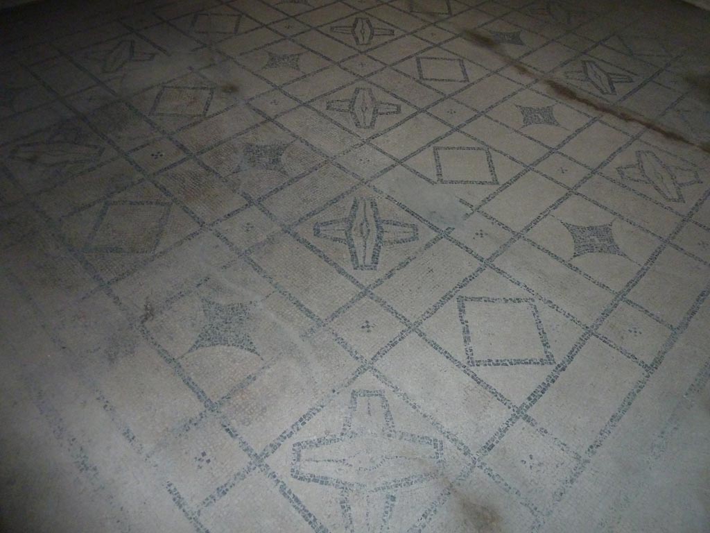 Stabiae, Villa Arianna, September 2015. Room 5, mosaic floor.