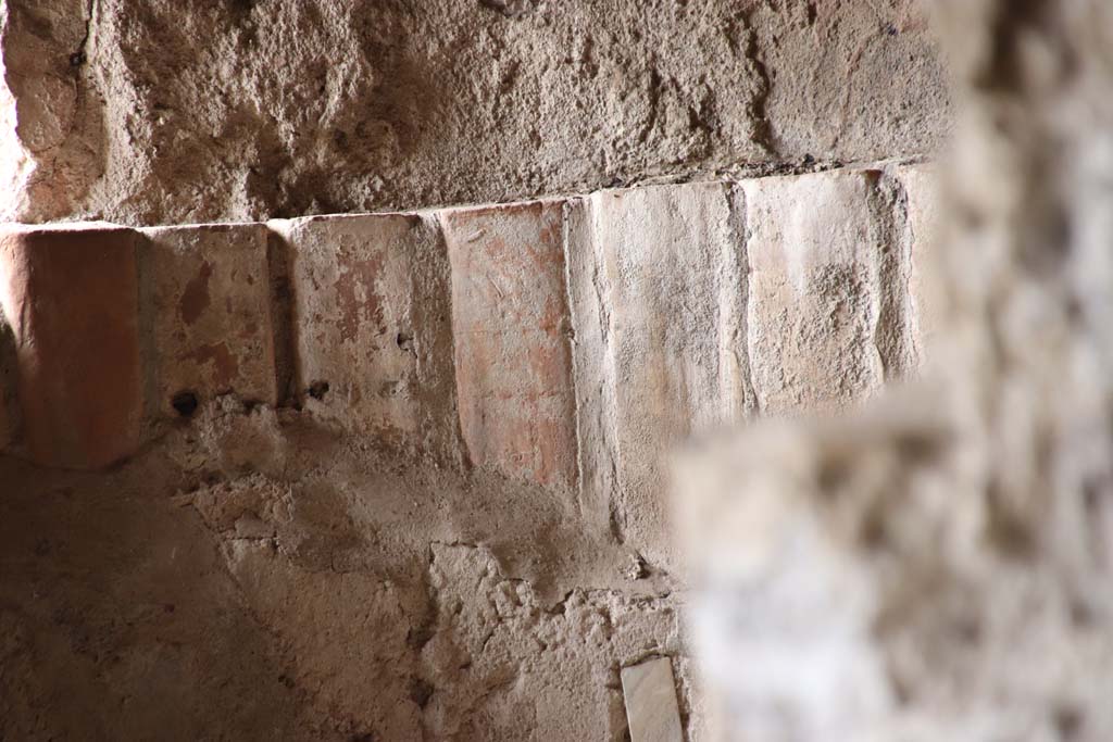 Stabiae, Villa Arianna, April 2005. Room 6, detail from north wall of the caldarium on north side of tepidarium. 
Photo courtesy of Buzz Ferebee.
