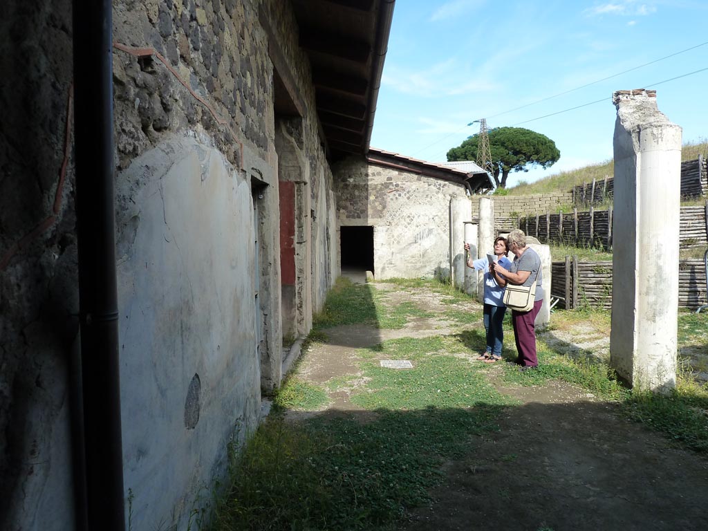 Stabiae, Villa Arianna, June 2019. Room 44, mosaic floor near doorway. Photo courtesy of Buzz Ferebee.