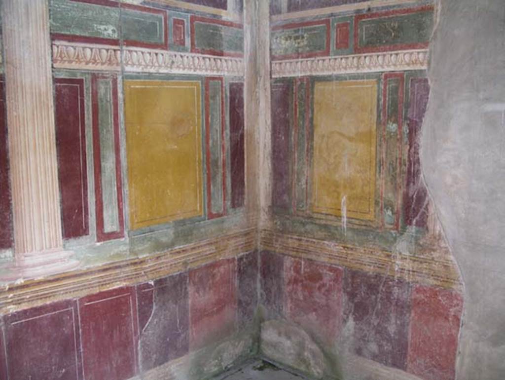 Stabiae, Villa Arianna, June 2019. Room 45, upper south-east corner. Photo courtesy of Buzz Ferebee.