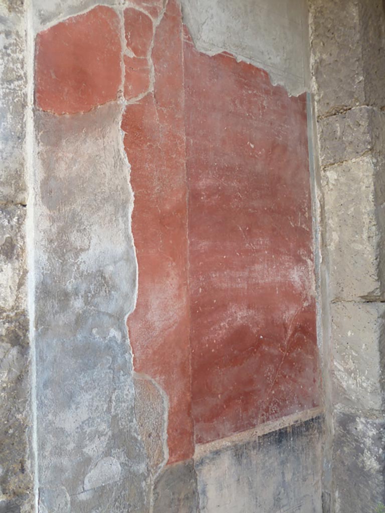 Stabiae, Villa Arianna, October 2020. 
Room 24, painted decoration on east wall of atrium at south end near vestibule. Photo courtesy of Klaus Heese.
