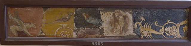 Stabiae, Villa Arianna, atrium, pastiche of wall painting fragments.
Now in Naples Archaeological Museum. Inventory number 9896. 
See Sampaolo V. and Bragantini I., Eds, 2009. La Pittura Pompeiana. Electa: Verona, p. 444.
