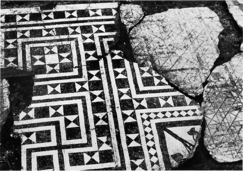 Stabiae, Villa Arianna, Room 18, plan of the tablinum - Graphic reconstruction of the sinopia with mosaic fragment overlaid.
See Bollettino d’Arte 1973 Fasc. I. Robotti C, Una sinopia musiva pavimentale a Stabia (p.44, fig. 5)

